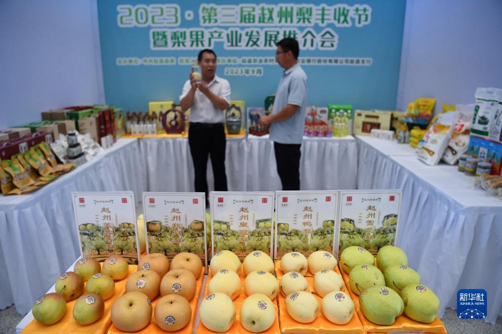 多宝捕鱼创成网络