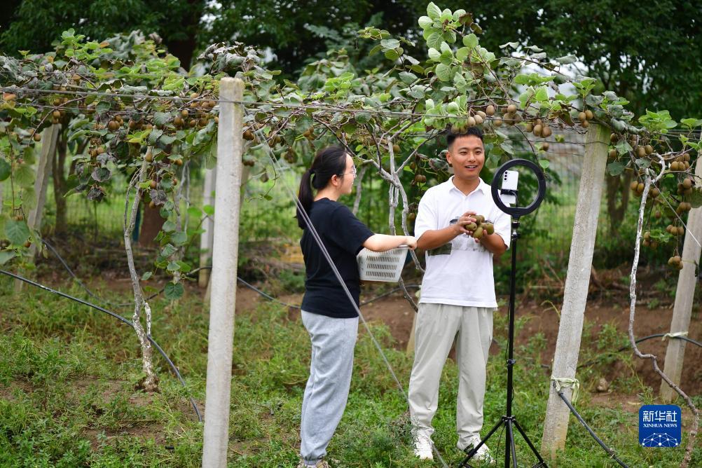 斗鱼黄金大奖赛分组